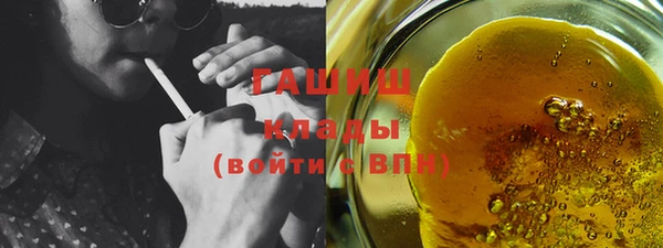 индика Гусь-Хрустальный