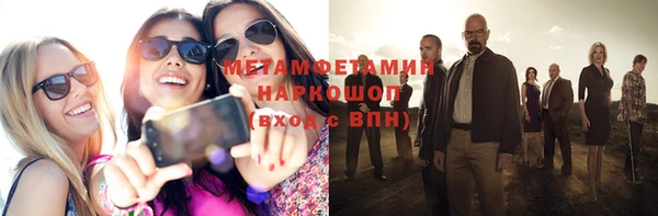 индика Гусь-Хрустальный