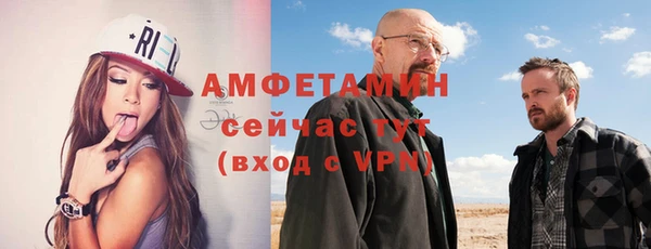 индика Гусь-Хрустальный