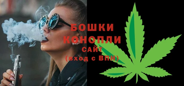 шишки Болохово