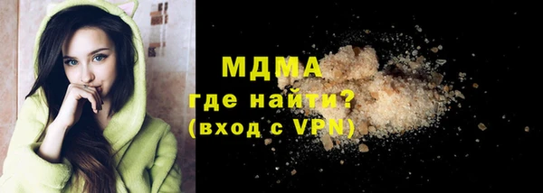 индика Гусь-Хрустальный
