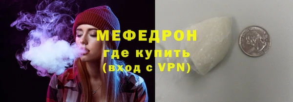 индика Гусь-Хрустальный