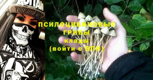 каннабис Гусиноозёрск