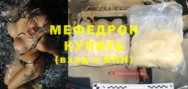 индика Гусь-Хрустальный
