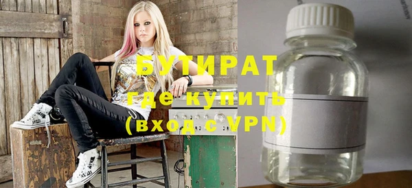 индика Гусь-Хрустальный