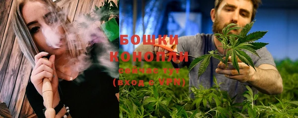индика Гусь-Хрустальный