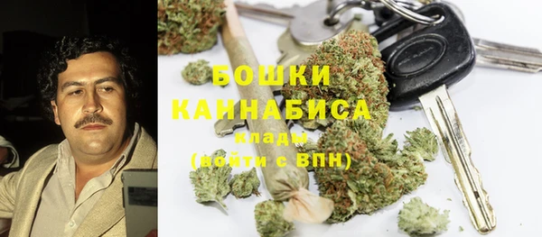 индика Гусь-Хрустальный