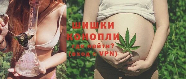 индика Гусь-Хрустальный
