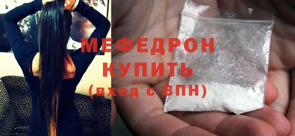 индика Гусь-Хрустальный