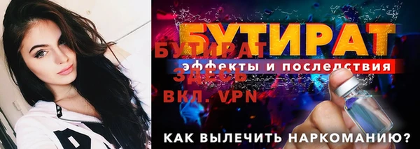 индика Гусь-Хрустальный