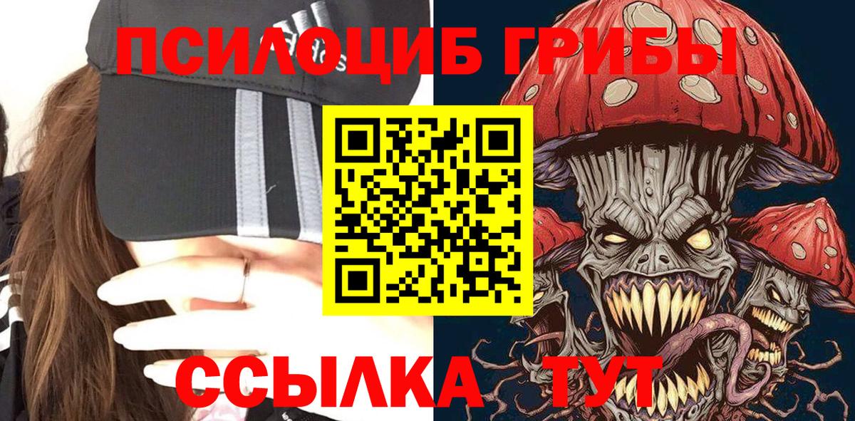 Псилоцибиновые грибы Psilocybine cubensis Донской