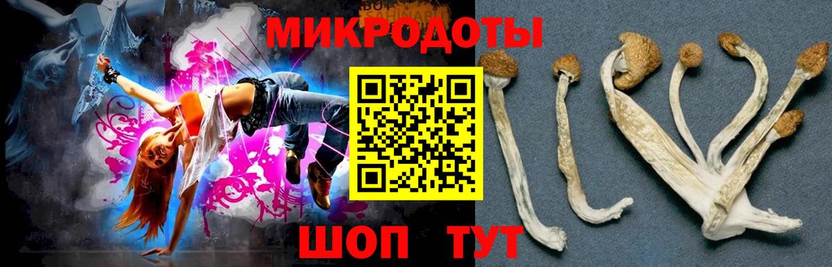 Псилоцибиновые грибы Cubensis  Галлюциногенные грибы мицелий  Вход с VPN  Донской 